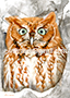 Illustratie rusty owl